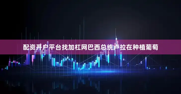 配资开户平台找加杠网巴西总统卢拉在种植葡萄